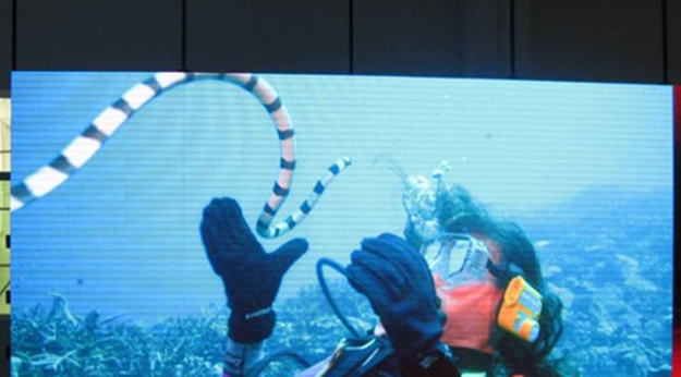 美股四次熔斷,會對室內(nèi)全彩led顯示屏行業(yè)造成怎樣的影響呢